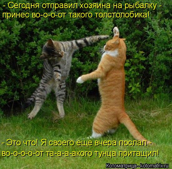 Котоматрица: - Сегодня отправил хозяина на рыбалку -  принес во-о-о-от такого толстолобика! - Это что! Я своего еще вчера послал - во-о-о-о-от та-а-а-акого тунц