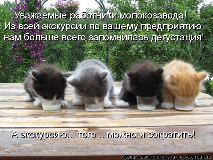 Уважаемые работники молокозавода! Из всей экскурсии по вашему предприятию нам больше всего запомнилас... Котоматрица: Уважаемые работники молокозавода! Из всей экскурсии по вашему предприятию нам больше всего запомнилась дегустация! А экскурсию... того... мо