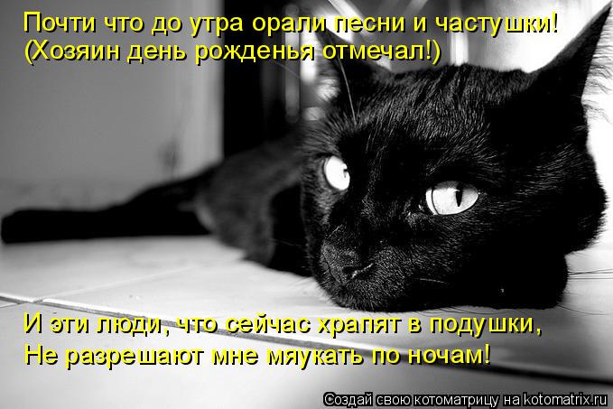 Почти что до утра орали песни и частушки! (Хозяин день рожденья отмечал!) И эти люди, что сейчас храп... Котоматрица: Почти что до утра орали песни и частушки! (Хозяин день рожденья отмечал!) И эти люди, что сейчас храпят в подушки, Не разрешают мне мяукать по