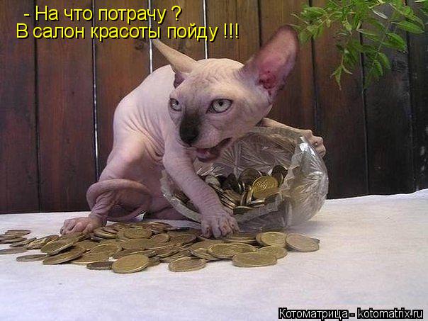 Котоматрица: - На что потрачу ? В салон красоты пойду !!!