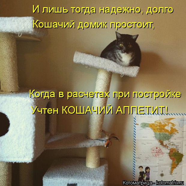 И лишь тогда надежно, долго Кошачий домик простоит, Когда в расчетах при постройке Учтен КОШАЧИЙ АПП... Котоматрица: И лишь тогда надежно, долго Кошачий домик простоит, Когда в расчетах при постройке Учтен КОШАЧИЙ АППЕТИТ!