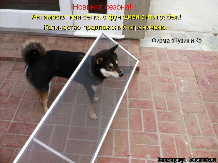 Котоматрица: Новинка сезона!!! Антимоскитная сетка с функцией антиграбеж! Количество предложений ограничено. Фирма «Тузик и К»