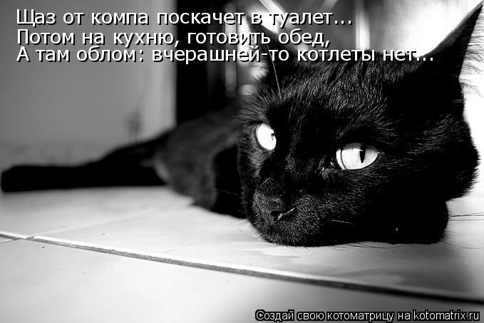 Котоматрица: Щаз от компа поскачет в туалет... Потом на кухню, готовить обед, А там облом: вчерашней-то котлеты нет...
