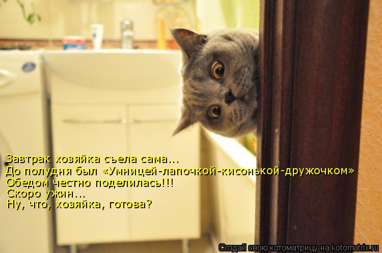 Котоматрица: Завтрак хозяйка съела сама...  До полудня был «Умницей-лапочкой-кисонькой-дружочком» Обедом честно поделилась!!! Скоро ужин...  Ну, что, хозяйк