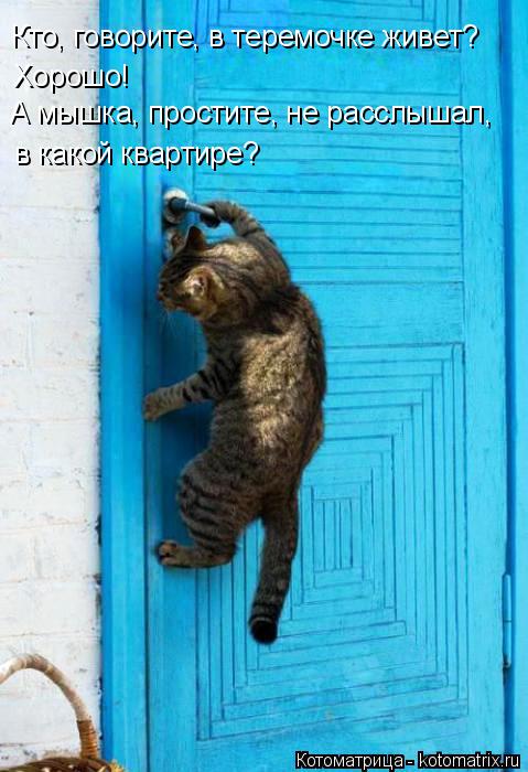 Кто, говорите, в теремочке живет? Хорошо! А мышка, простите, не расслышал, в какой квартире?... Котоматрица: Кто, говорите, в теремочке живет? Хорошо! А мышка, простите, не расслышал, в какой квартире?
