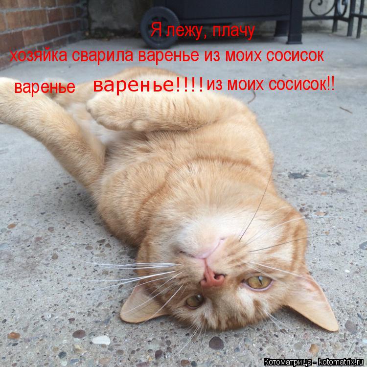 Котоматрица: Я лежу, плачу  хозяйка сварила варенье из моих сосисок  варенье   варенье!!!! из моих сосисок!!