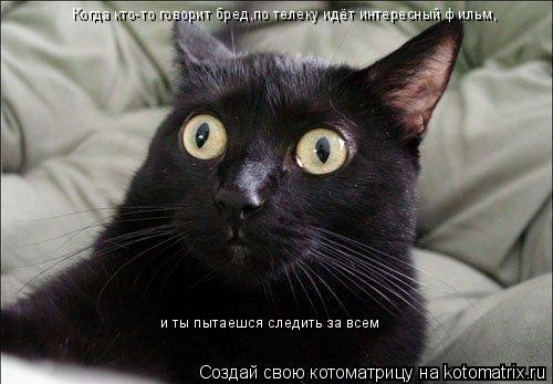 Котоматрица: Когда кто-то говорит бред,по телеку идёт интересный фильм, и ты пытаешся следить за всем