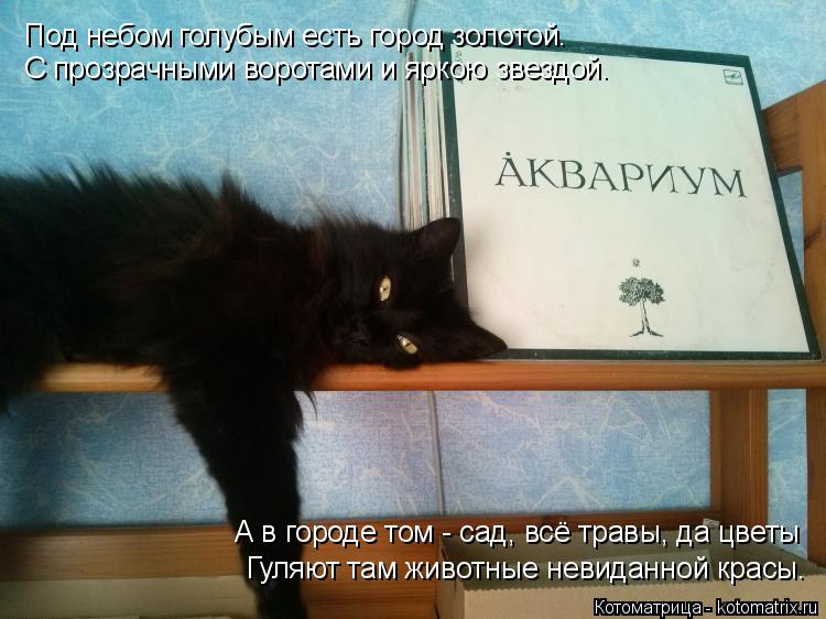 Котоматрица: Под небом голубым есть город золотой. С прозрачными воротами и яркою звездой. Гуляют там животные невиданной красы. Под небом голубым есть 