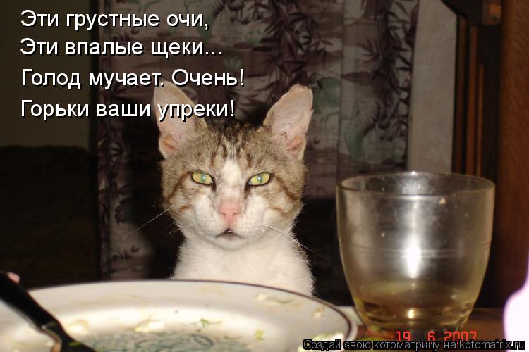 Котоматрица: Эти грустные очи, Эти впалые щеки... Голод мучает. Очень! Горьки ваши упреки!