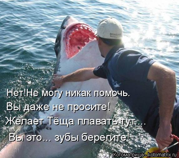 Котоматрица: Нет!Не могу никак помочь. Вы даже не просите! Желает Тёща плавать тут.... Вы это... зубы берегите!