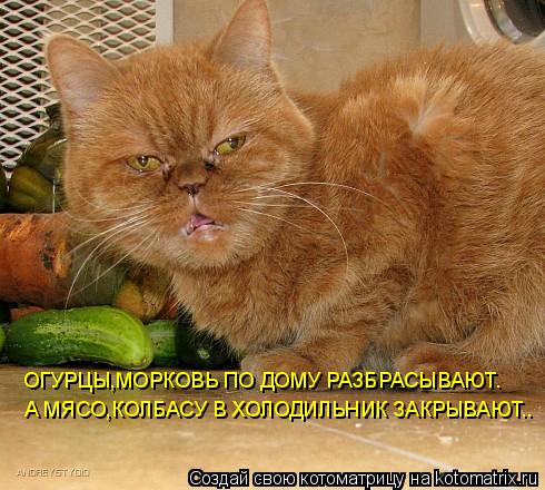 Котоматрица: ОГУРЦЫ,МОРКОВЬ ПО ДОМУ РАЗБРАСЫВАЮТ. А МЯСО,КОЛБАСУ В ХОЛОДИЛЬНИК ЗАКРЫВАЮТ..