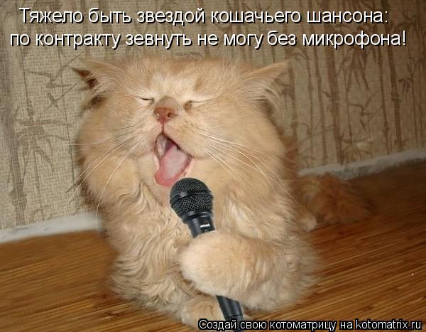Котоматрица: Тяжело быть звездой кошачьего шансона: по контракту зевнуть не могу без микрофона!