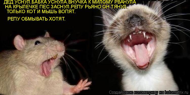 Котоматрица: ДЕД УСНУЛ.БАБКА УСНУЛА.ВНУЧКА К МИЛОМУ РВАНУЛА НА КРЫЛЕЧКЕ ПЕС ЗАСНУЛ.РЕПУ РЬЯНО ОН ТЯНУЛ. РЕПУ ОБМЫВАТЬ ХОТЯТ. ТОЛЬКО КОТ И МЫШЬ ВОПЯТ.