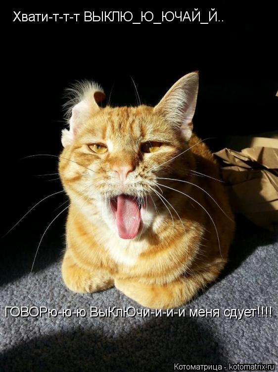 Котоматрица: Хвати-т-т-т ВЫКЛЮ_Ю_ЮЧАЙ_Й.. ГОВОРю-ю-ю ВыКлЮчи-и-и-и меня сдует!!!!