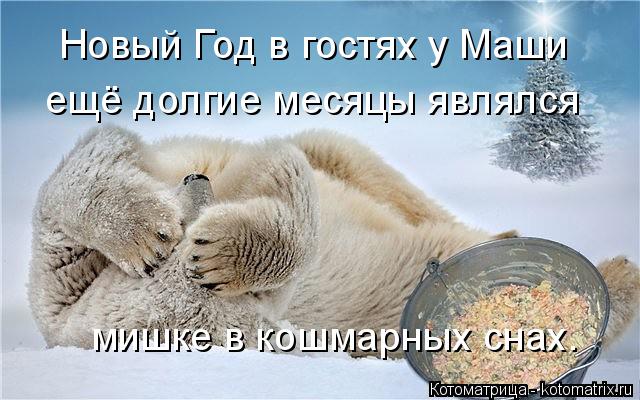 Котоматрица: Новый Год в гостях у Маши ещё долгие месяцы являлся  мишке в кошмарных снах.