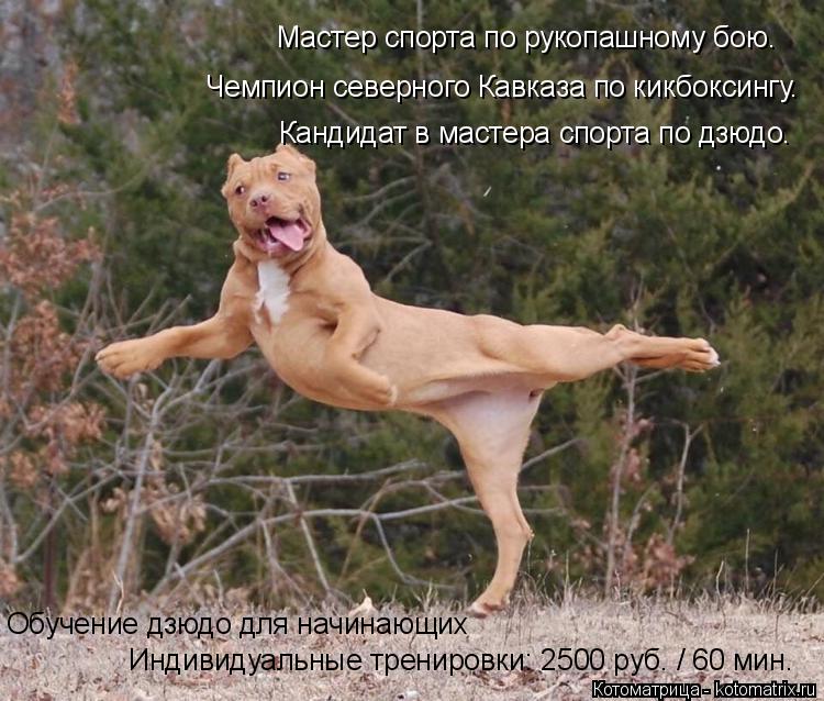 Котоматрица: Мастер спорта по рукопашному бою. Чемпион северного Кавказа по кикбоксингу. Кандидат в мастера спорта по дзюдо. Обучение дзюдо для начинаю