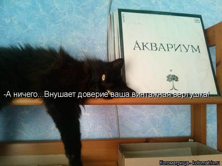 Котоматрица: -А ничего...Внушает доверие ваша винтажная вертушка!