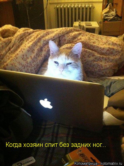 Котоматрица: Когда хозяин спит без задних ног...
