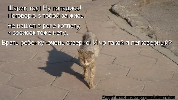 Котоматрица: Шарик, гад! Ну попадись!  Поговорю с тобой за жись... Не нашел в реке котлету,  и сосисок тоже нету... Врать ребенку -очень скверно! И чо такой я л