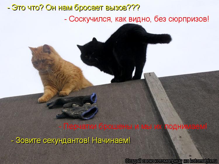 Котоматрица: - Это что? Он нам бросает вызов??? - Соскучился, как видно, без сюрпризов! - Перчатки брошены и мы их поднимаем! - Зовите секундантов! Начинаем!