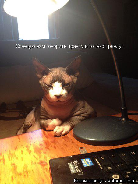 Котоматрица: Советую вам говорить правду и только правду!