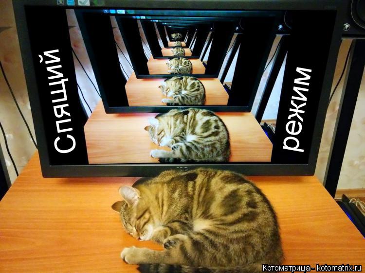 Котоматрица: Спящий режим