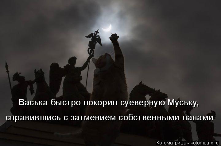 Котоматрица: Васька быстро покорил суеверную Муську, справившись с затмением собственными лапами