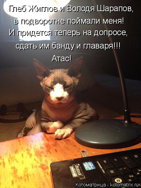 Котоматрица: Глеб Жиглов и Володя Шарапов, в подворотне поймали меня! И придется теперь на допросе, сдать им банду и главаря!!! Атас!
