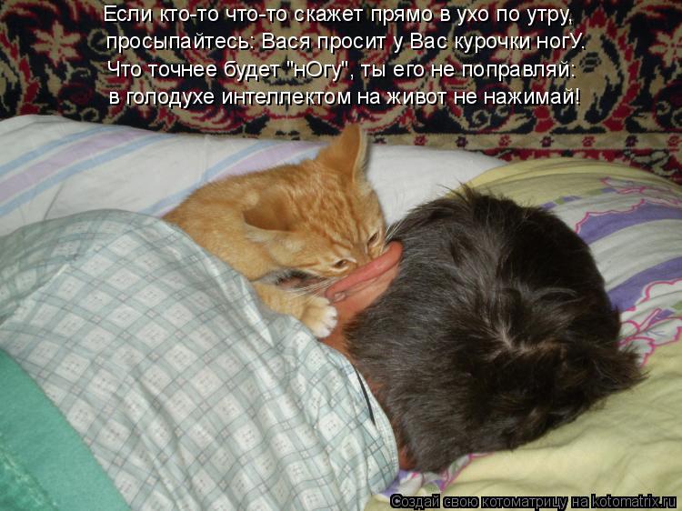 Котоматрица: Если кто-то что-то скажет прямо в ухо по утру, просыпайтесь: Вася просит у Вас курочки ногУ. Что точнее будет "нОгу", ты его не поправляй: в гол