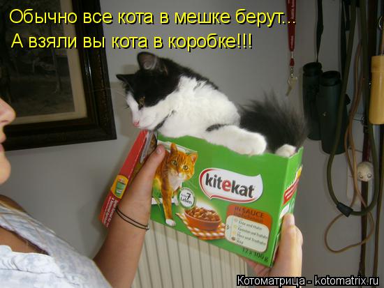 Котоматрица: Обычно все кота в мешке берут... А взяли вы кота в коробке!!!