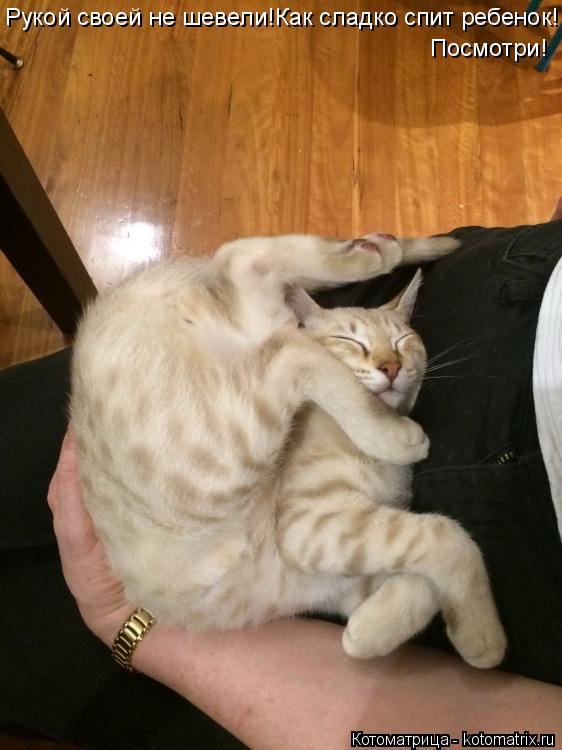 Котоматрица: Рукой своей не шевели!Как сладко спит ребенок! Посмотри!