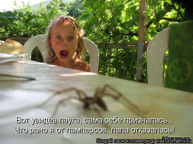 Котоматрица: Что рано я от памперсов, папа отказалась! Вот увидев паука, сама себе призналась...