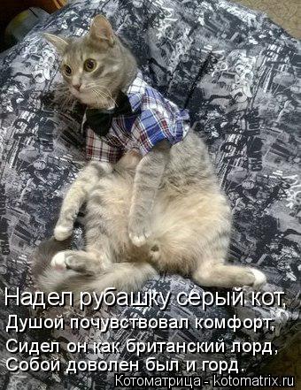 Котоматрица: Надел рубашку серый кот, Душой почувствовал комфорт,  Сидел он как британский лорд,  Собой доволен был и горд.