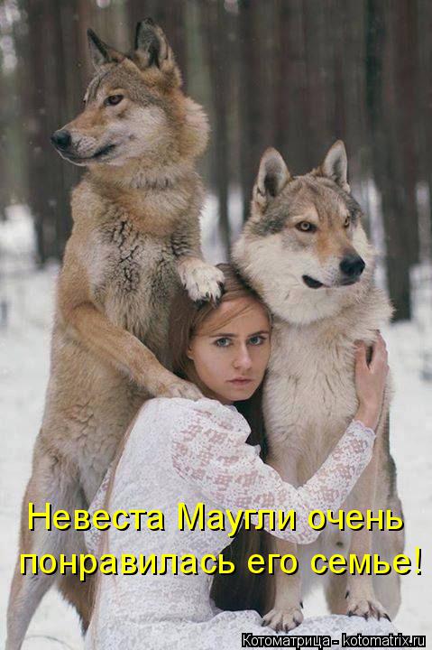 Котоматрица: Невеста Маугли очень понравилась его семье!