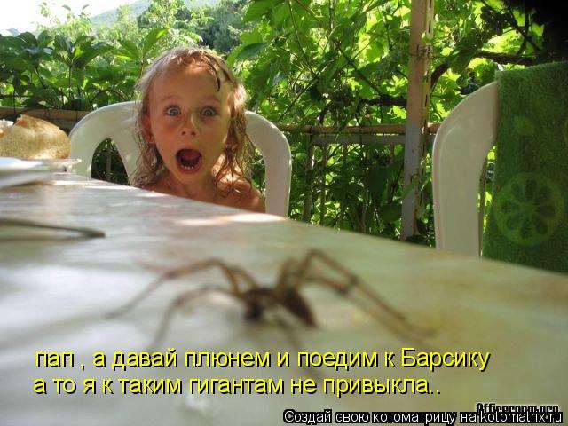 Котоматрица: пап , а давай плюнем и поедим к Барсику а то я к таким гигантам не привыкла..