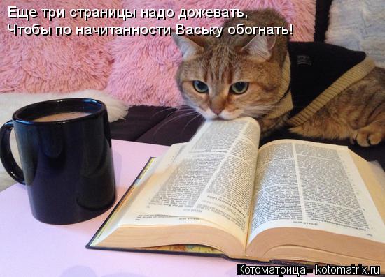 Котоматрица: Еще три страницы надо дожевать, Чтобы по начитанности Ваську обогнать!