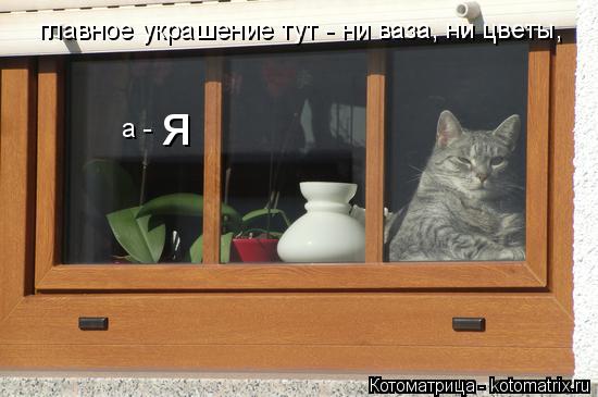 Котоматрица: главное украшение тут - ни ваза, ни цветы,  а -  я