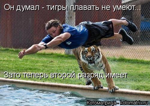 Котоматрица: Он думал - тигры плавать не умеют... Зато теперь второй разряд имеет