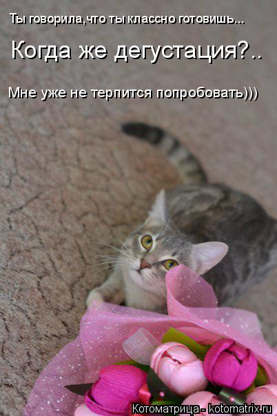 Котоматрица: Ты говорила,что ты классно готовишь... Когда же дегустация?.. Мне уже не терпится попробовать)))