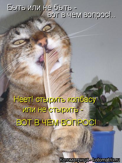 Котоматрица: Быть или не быть - вот в чем вопрос!.. Неет! стырить колбасу  или не стырить - ВОТ В ЧЕМ ВОПРОС!