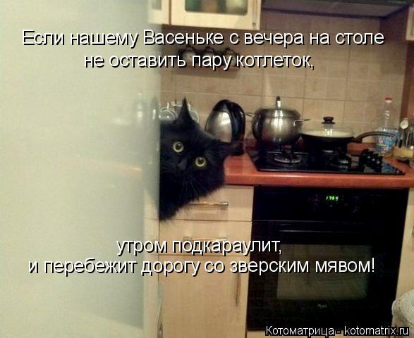 Котоматрица: Если нашему Васеньке с вечера на столе не оставить пару котлеток,  утром подкараулит,  и перебежит дорогу со зверским мявом!