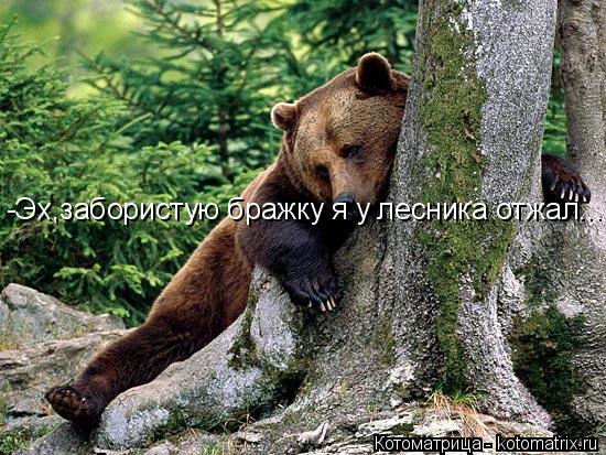 Котоматрица: -Эх,забористую бражку я у лесника отжал...