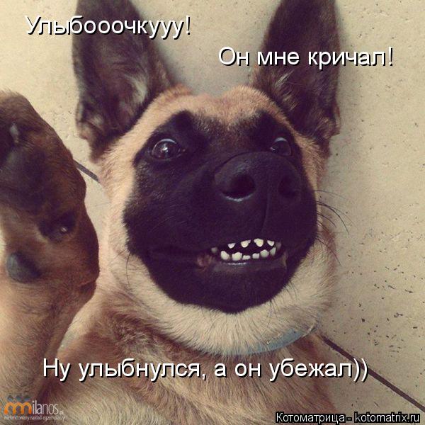 Котоматрица: Улыбооочкууу! Он мне кричал! Ну улыбнулся, а он убежал))