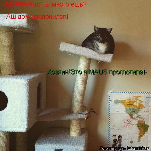 Котоматрица: -МУРКА!Что ты много ешь? -Аш дом наклонился! Хозяин!Это я MAUS проглотила!-