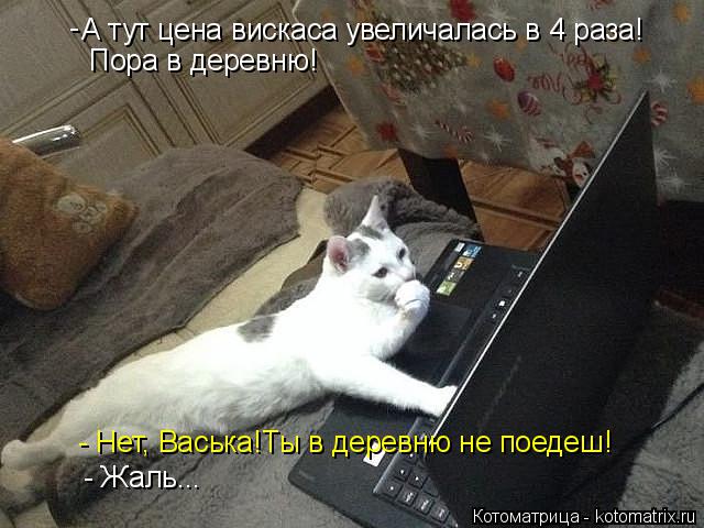 Котоматрица: А тут цена вискаса увеличалась в 4 раза! Пора в деревню! - - Нет, Васька!Ты в деревню не поедеш! - Жаль...