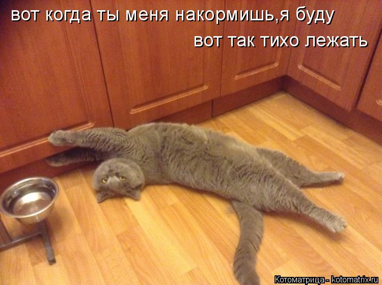 Котоматрица: вот когда ты меня накормишь,я буду  вот так тихо лежать