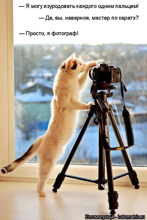 Котоматрица: — Да, вы, наверное, мастер по каратэ?   — Просто, я фотограф!   — Я могу изуродовать каждого одним пальцем!