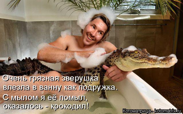 Котоматрица: оказалось - крокодил! Очень грязная зверушка влезла в ванну как подружка. С мылом я её помыл,