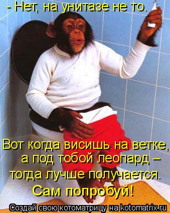 Котоматрица: - Нет, на унитазе не то.  Вот когда висишь на ветке, а под тобой леопард – тогда лучше получается. Сам попробуй!