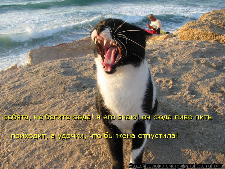 ребята, не бегите сюда! я его знаю! он сюда пиво пить приходит, а удочки, что бы жена отпустила!... Котоматрица: ребята, не бегите сюда! я его знаю! он сюда пиво пить приходит, а удочки, что бы жена отпустила!